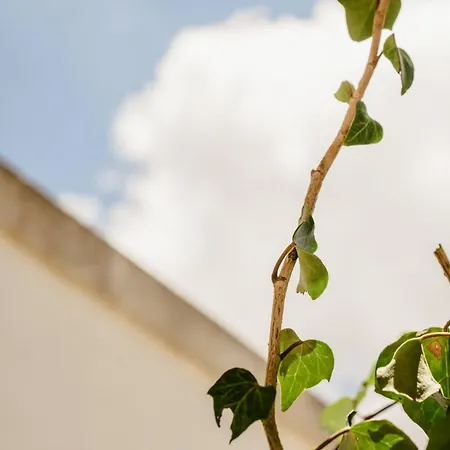 Villa Del Ponente Otranto *