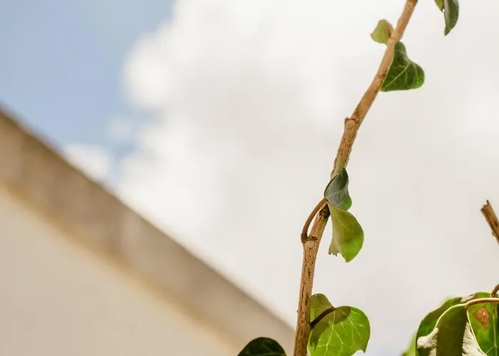 Villa Del Ponente Otranto *